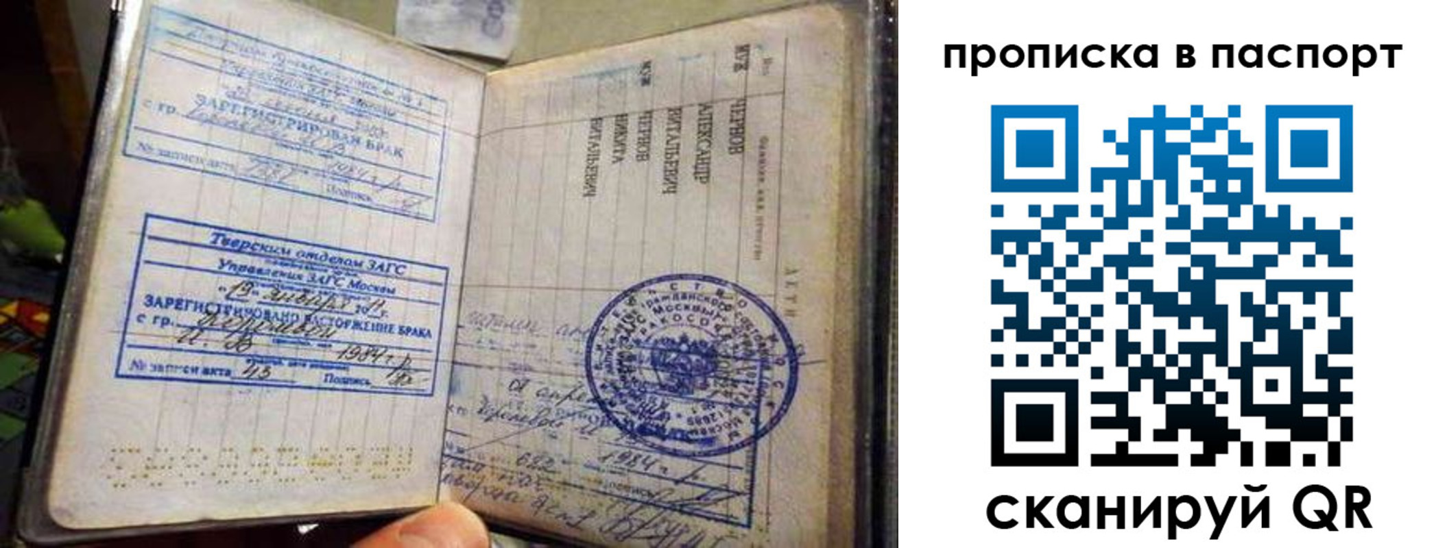 прописка поиск в Высоковске